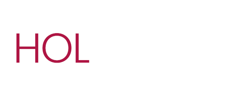 Holthink Interactive