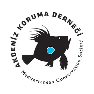holthink-interactive-akdeniz-koruma-dernegi