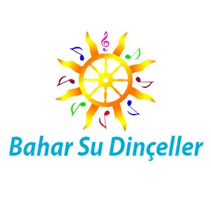 holthink-interactive-bahars-su-dinceller