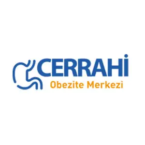 holthink-interactive-cerrahi-obezite