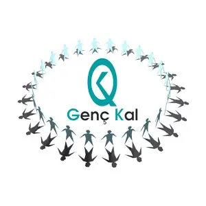 holthink-interactive-genckalder