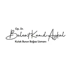 holthink-interactive-op-dr-bulent-kamil-aykal