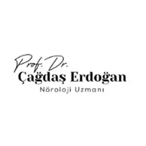 holthink-interactive-prof-dr-cagdas-erdogan