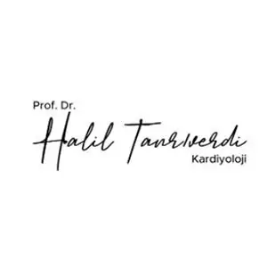 holthink-interactive-prof-dr-halil-tanriverdi